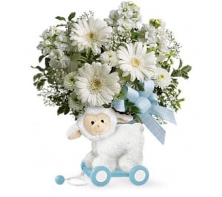 Sweet Little Lamb in Blue