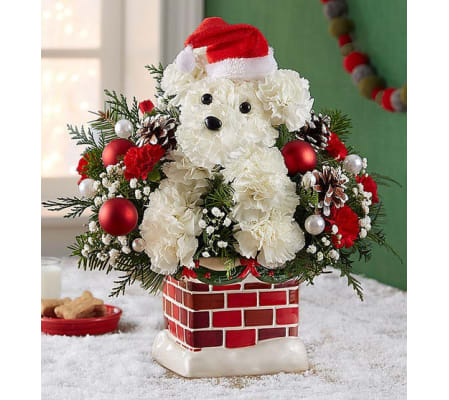 MR. CLAUS PAWS