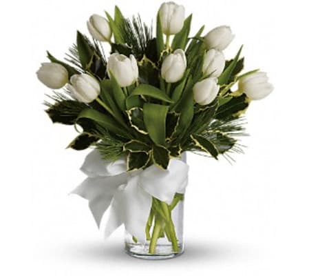 Teleflora Tulips And Pine