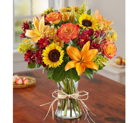 Fields of Europe™ for this Fall