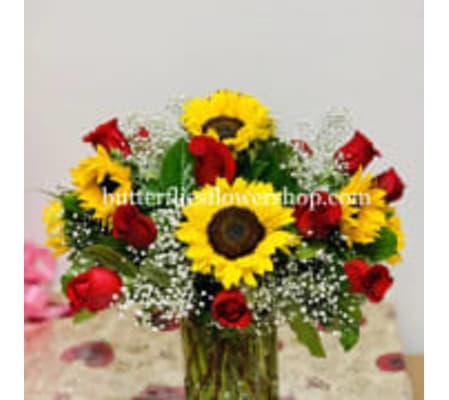 To My Sunshine