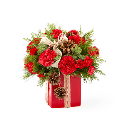 HOLIDAY PRESENT