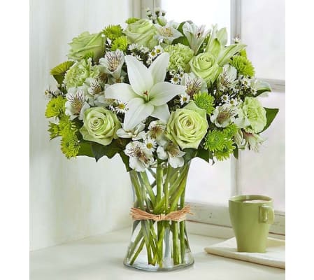 The Serene Green™