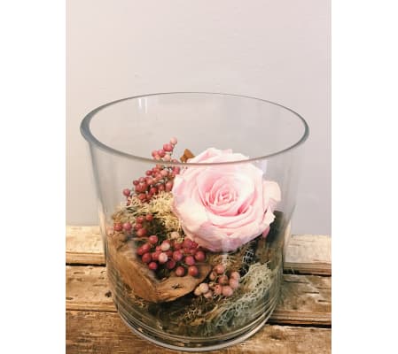 Preserved Rose (Blush)