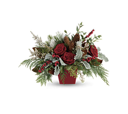 Winter Blooms by Teleflora