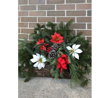 Holiday Log Box