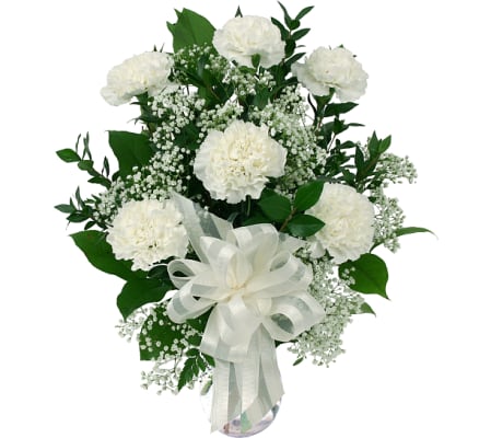 6 White Carnations 19