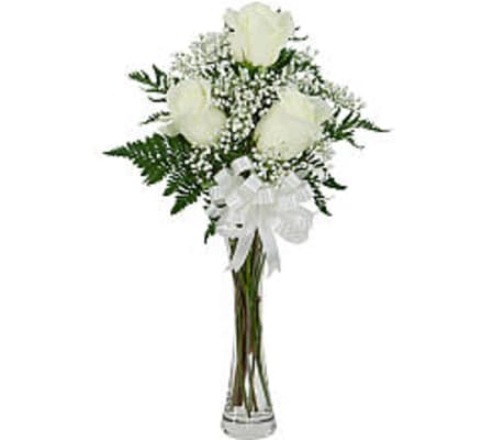3 White Roses 19