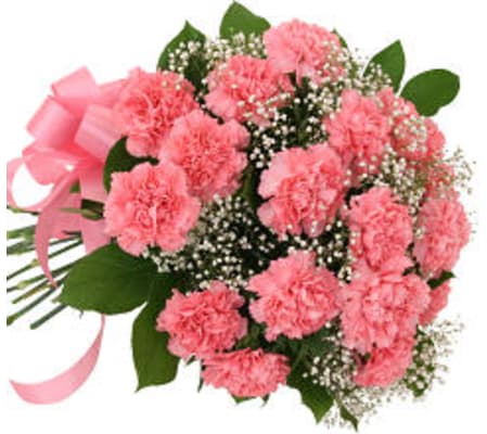 12 Pink Carnations Bouquet 19
