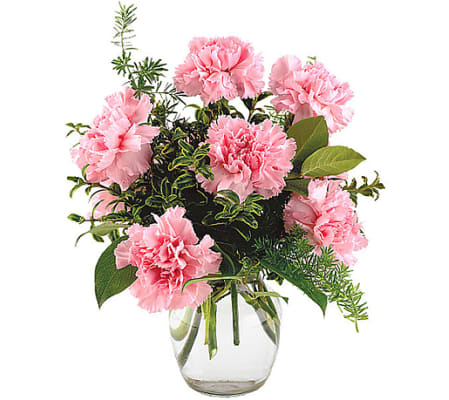 Pretty pink Carnations