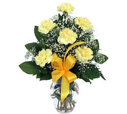 6 Yellow Carnations 19