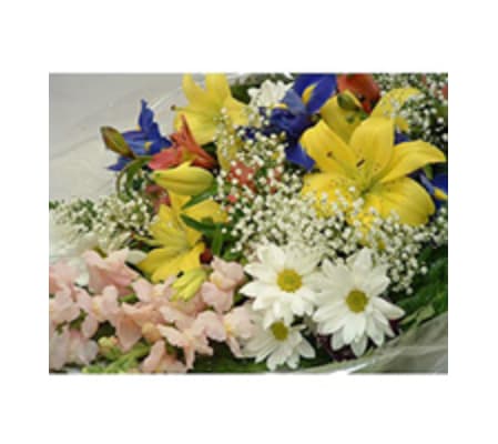 Assorted Cut Bouquet