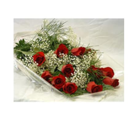 12 Roses Wrapped with Baby's Breath