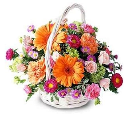 Cheer Basket