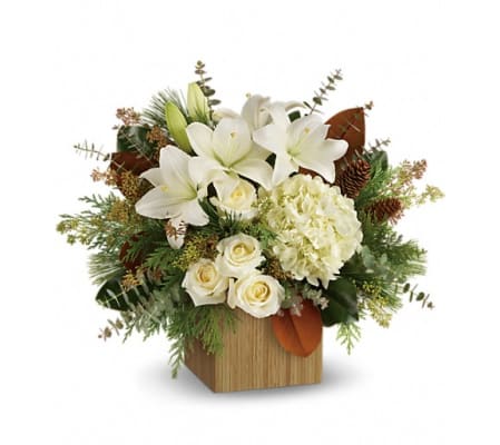 Teleflora Snowy Woods by TCG