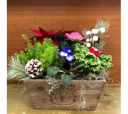 Reindeer Planter Box