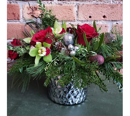 Holiday Orchid Delight