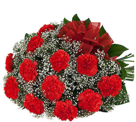 12 Red Carnation 19