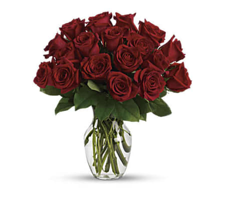 The Enduring Passion - 12 Red Roses