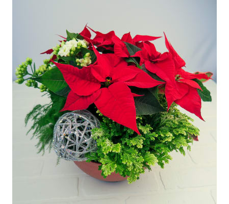 Spark JOY Holiday Garden