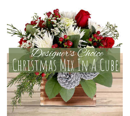 Christmas Mix In A Cube Florist Design