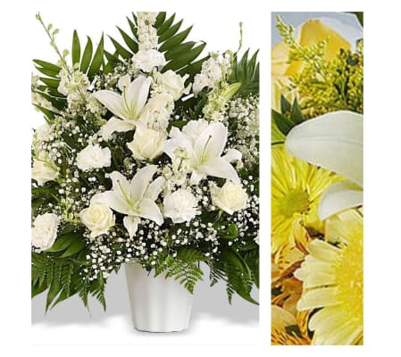Yellow Mix-Traditional Sympathy