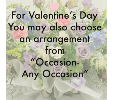 Occasion-Any Occasion