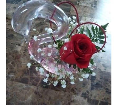 Glass Swan