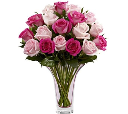 Pretty in Pink Roses