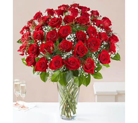 48-Ultimate Elegance™ Long Stem Red Roses
