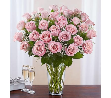 Long Stem Pink Roses
