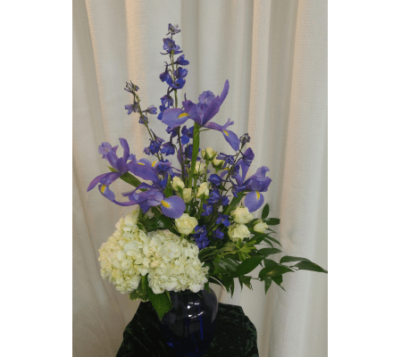 Iris & Hyacinth's