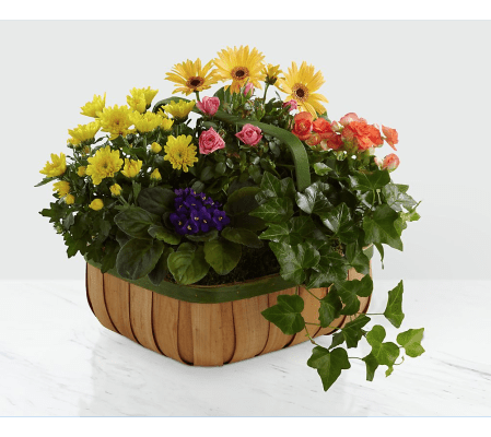 Gentle Blossoms Basket