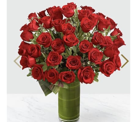 48 Red Rose Bouquet