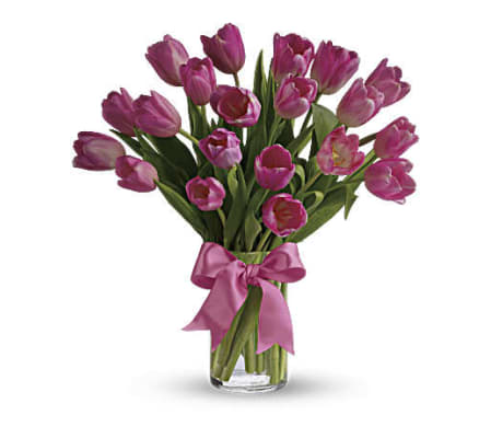 Terrific tulips