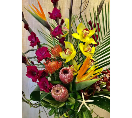 Summer Lovin' Tropicals