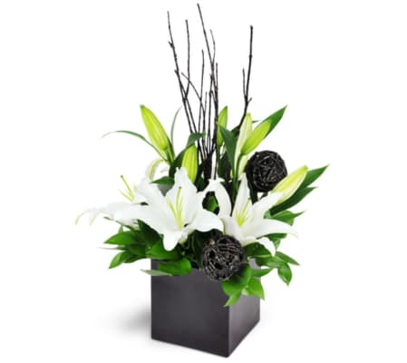 White Lily Cube