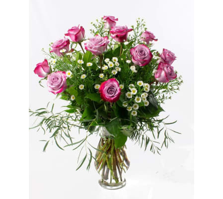 1 Dozen Deep Purple Roses