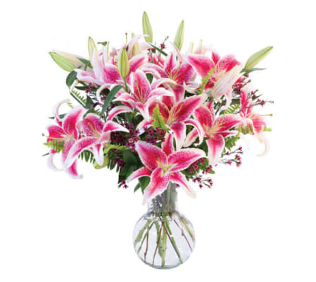 Sincere Stargazers Bouquet FSN