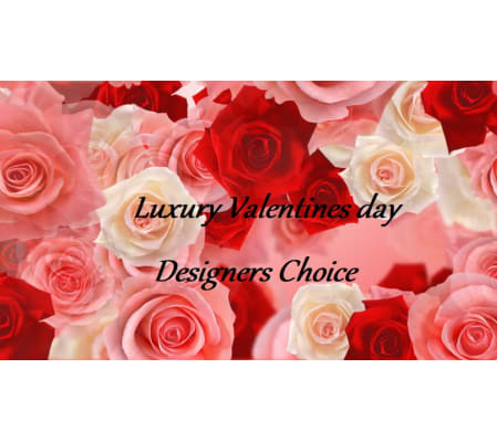 Luxury Designers Choice