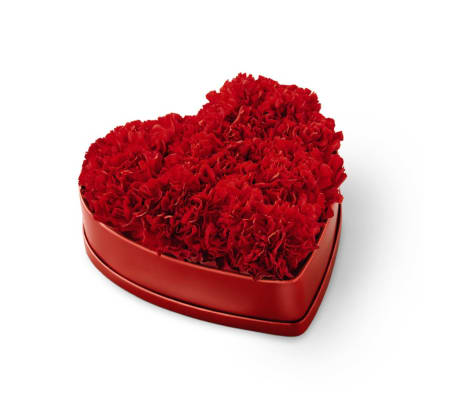 FTD6 Heartfelt Carnation Box