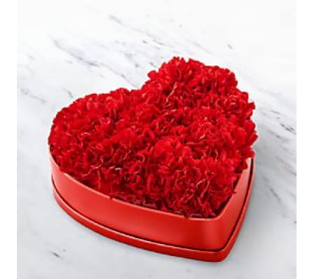 Heartfelt Carnation Box