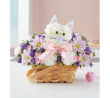 Fabulous Feline Boy or Girl