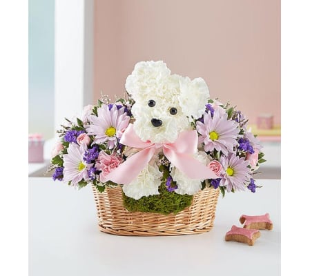 It’s a-DOG-able® Boy or Girl