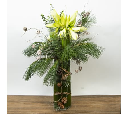 White Winter Pine