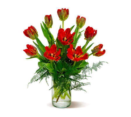 Sadie-Rococo Parrot Tulips