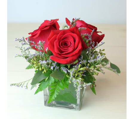 3 Red Roses in a Small Cube