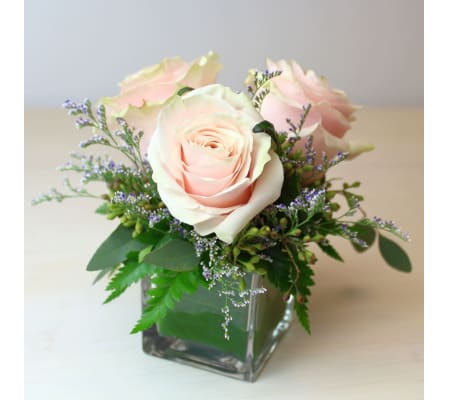 3 Pink Roses in a small cube