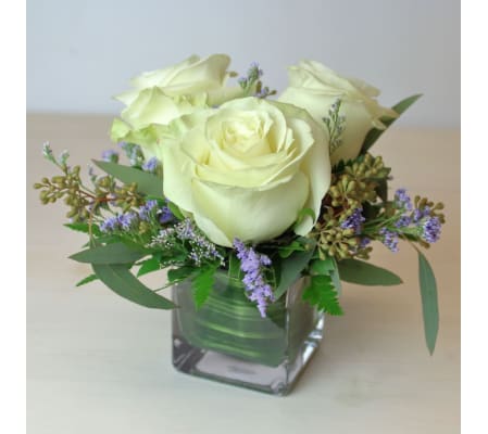 3 White Roses in a small cube