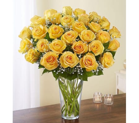 Long Stem Yellow Roses